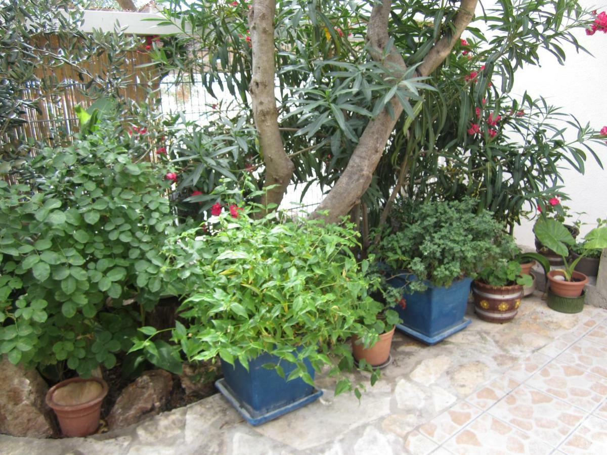 Bella Vista Hvar Villa *